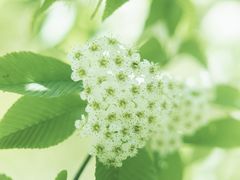 -龙苍沟森林公园