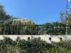 -悦哉·派对·草坪婚礼·围炉煮茶(三圣乡店)