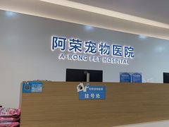 -阿荣24H宠物医院·综合型转诊中心·CT·核磁影像中心