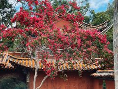 -昆明市金殿名胜区