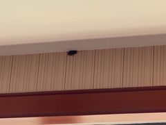 -维也纳国际酒店·佛山南海千灯湖桂城地铁站店