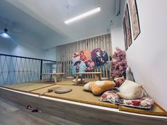 -柴迷FANS CLUB·柴犬狗咖·猫咖