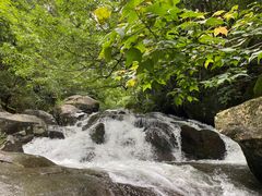 -大围山国家森林公园