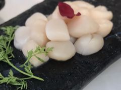 澳大利亚带子-半岛听涛蒸汽海鲜自助(K11店)