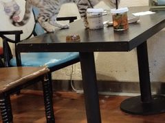 大堂-猫小院猫主题咖啡厅(北锣店)