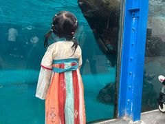 -海合安成都极地海洋公园