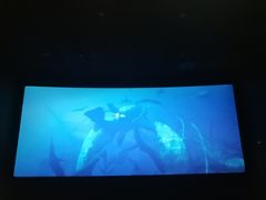 -保利国际影城杭州中南店