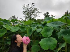 -南山植物园