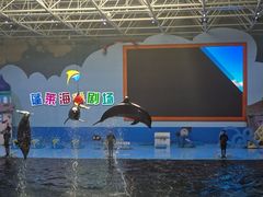 -蓬莱欧乐堡海洋极地世界