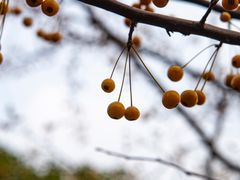 -长广溪湿地公园