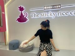 -糯米喵星人·撸猫猫舍咖啡馆(西市场嘉华店)