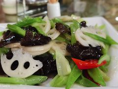 -正蓝旗草原特蒙餐