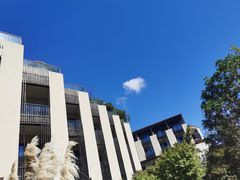 -上海崇明金茂凯悦酒店