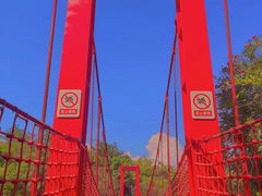 -上海吴淞炮台湾国家湿地公园