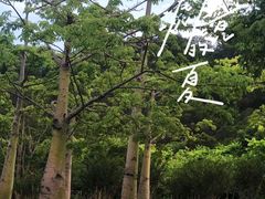 -飞凤山奥体公园