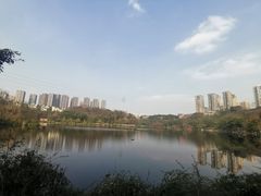 -重庆彩云湖湿地公园