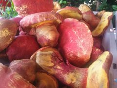 -双喜农庄·菌香园(安居家园店)