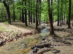 -白水寺森林公园