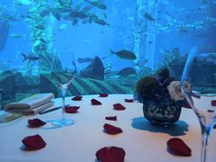 -亚特兰蒂斯•OSSIANO奥西亚诺海底餐厅