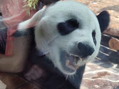 -济南野生动物世界