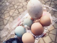 -甜心庄园·甜心草莓采摘园(西青中北店)