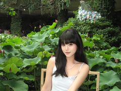 -花之城