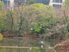 -浙江大学(紫金港校区)