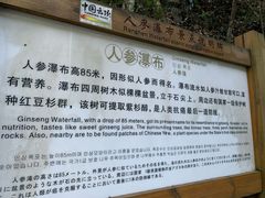 -永泰中国云顶