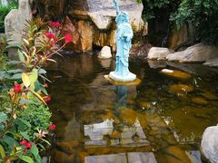 -南宫五洲植物乐园