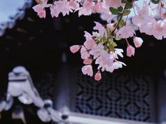 -莫愁湖公园