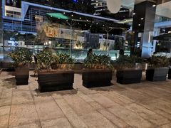 -星巴克臻选(深圳皇庭广场分店)