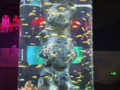 -福州罗源湾海洋世界旅游区