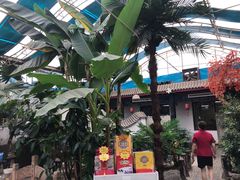 -漕河全驴宴饭店(徐水店)