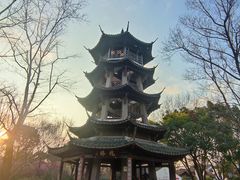 -西溪国家湿地公园