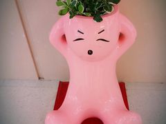 -莲花国际广场