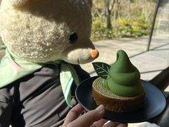 -雪绿茶博物馆