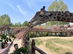 -济南喜来登酒店