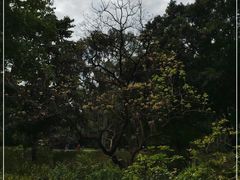 -华南植物园停车场