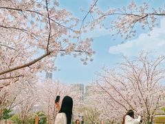 -杭州城北体育公园