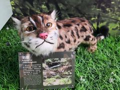 -房山世界地质公园博物馆