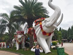 -云南民族村