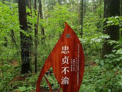 -五营国家森林公园