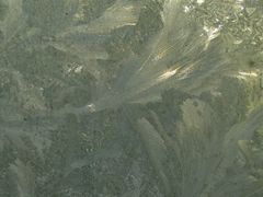 -皇家美孚(麦岛店)