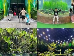 -海合安成都极地海洋公园