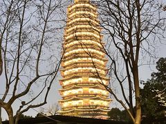 -红梅公园