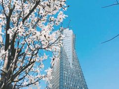 -西湖文化广场
