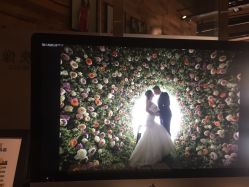点击看大图 -新奕映像摄影机构