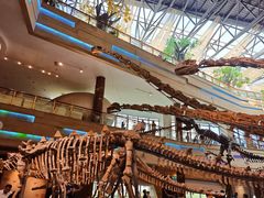 -安徽省地质博物馆