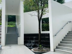 -紫马岭公园