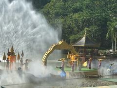 -西双版纳原始森林公园